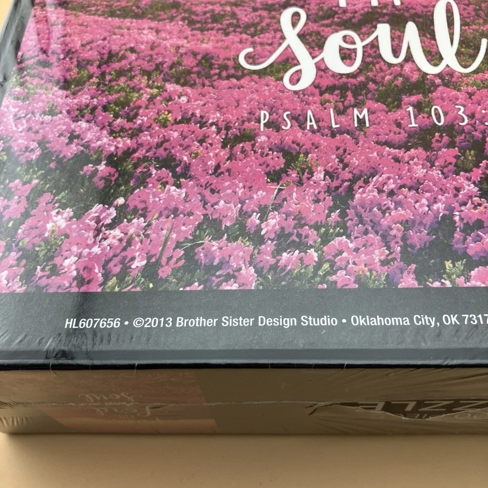 NEW Brother Sister Design Studio 1000 Pcs Jigsaw Puzzle Praise The Lord RELIGOUS